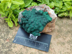 Natural Ball Malachite On Quartz Matrix Specimens x 2 From Mindingi Mine, Kambove, Congo - Toprock Gemstones and Minerals 