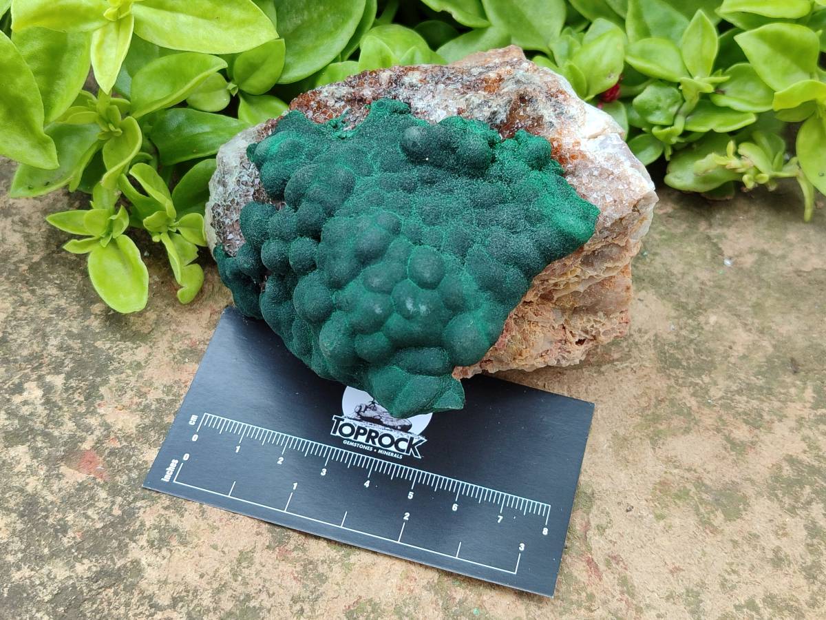 Natural Ball Malachite On Quartz Matrix Specimens x 2 From Mindingi Mine, Kambove, Congo - Toprock Gemstones and Minerals 