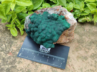 Natural Ball Malachite On Quartz Matrix Specimens x 2 From Mindingi Mine, Kambove, Congo