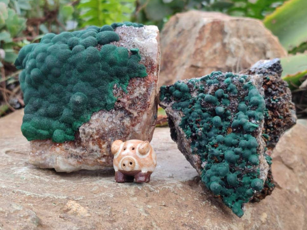Natural Ball Malachite On Quartz Matrix Specimens x 2 From Mindingi Mine, Kambove, Congo