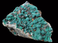 Natural Ball Malachite On Quartz Matrix Specimens x 2 From Mindingi Mine, Kambove, Congo