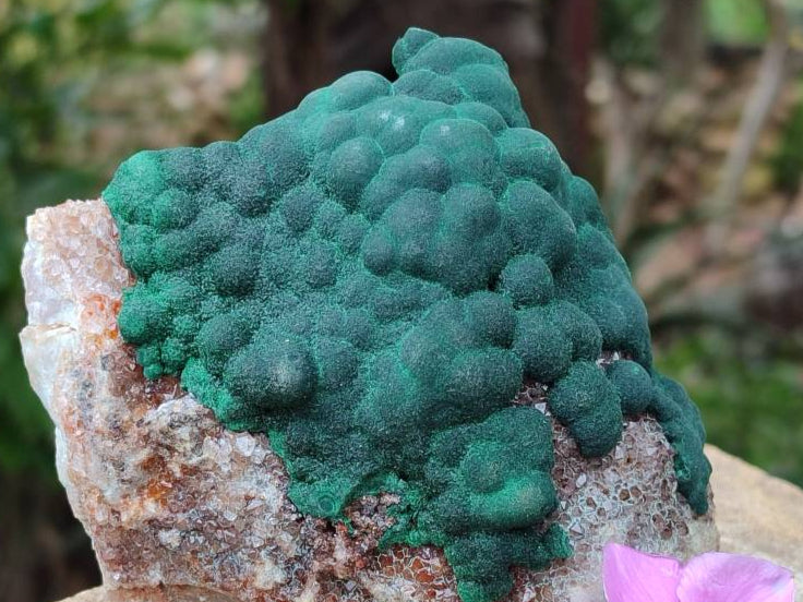 Natural Ball Malachite On Quartz Matrix Specimens x 2 From Mindingi Mine, Kambove, Congo - Toprock Gemstones and Minerals 