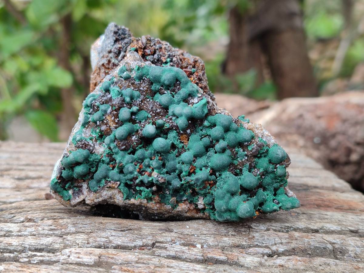 Natural Ball Malachite On Quartz Matrix Specimens x 2 From Mindingi Mine, Kambove, Congo - Toprock Gemstones and Minerals 