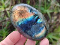 Polished Labradorite Galets x 12 From Tulear, Madagascar