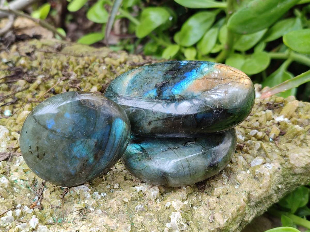 Polished Labradorite Galets x 12 From Tulear, Madagascar - Toprock Gemstones and Minerals 