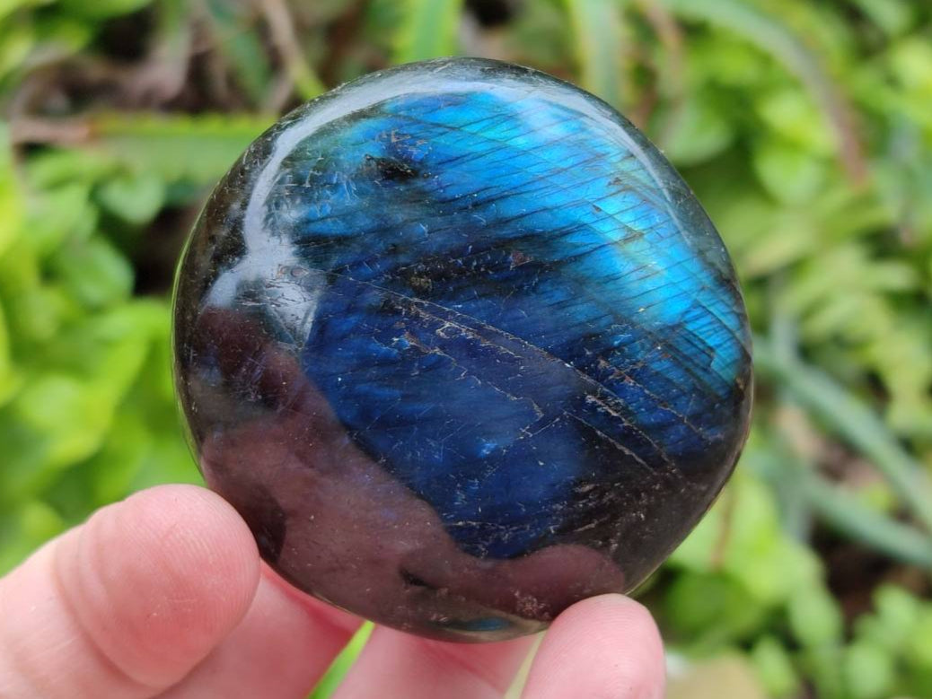 Polished Labradorite Galets x 12 From Tulear, Madagascar - Toprock Gemstones and Minerals 