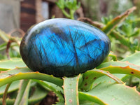 Polished Labradorite Galets x 12 From Tulear, Madagascar