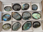 Polished Labradorite Galets x 12 From Tulear, Madagascar - Toprock Gemstones and Minerals 