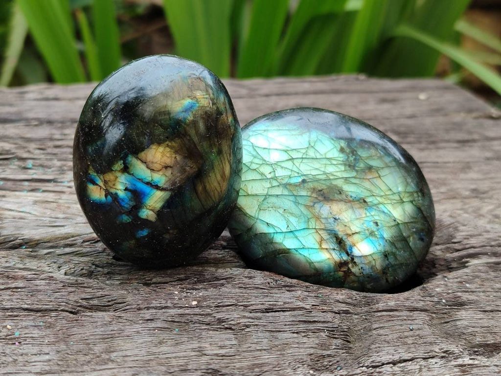 Polished Labradorite Galets x 12 From Tulear, Madagascar - Toprock Gemstones and Minerals 