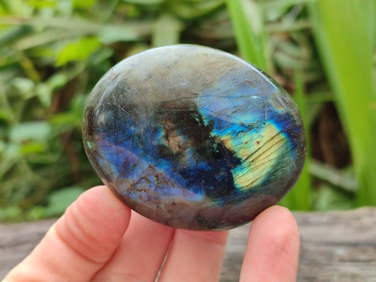 Polished Labradorite Galets x 12 From Tulear, Madagascar - Toprock Gemstones and Minerals 