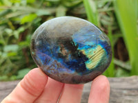 Polished Labradorite Galets x 12 From Tulear, Madagascar