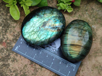 Polished Labradorite Galets x 12 From Tulear, Madagascar