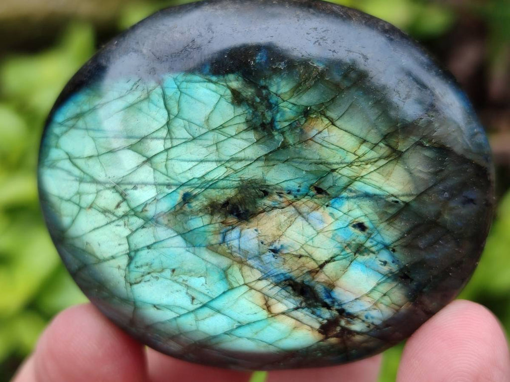 Polished Labradorite Galets x 12 From Tulear, Madagascar - Toprock Gemstones and Minerals 