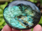 Polished Labradorite Galets x 12 From Tulear, Madagascar - Toprock Gemstones and Minerals 