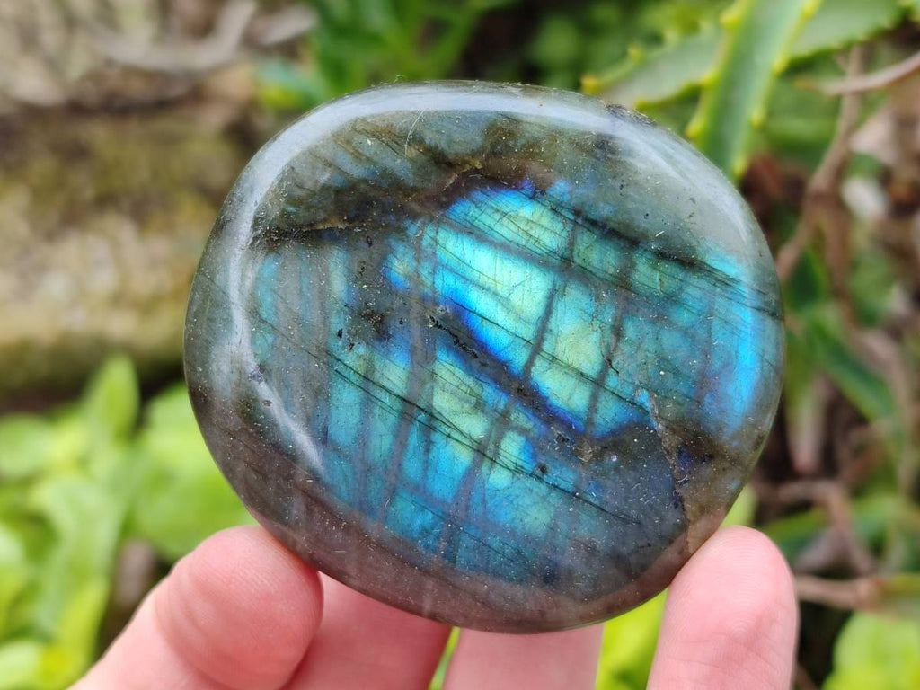 Polished Labradorite Galets x 12 From Tulear, Madagascar - Toprock Gemstones and Minerals 