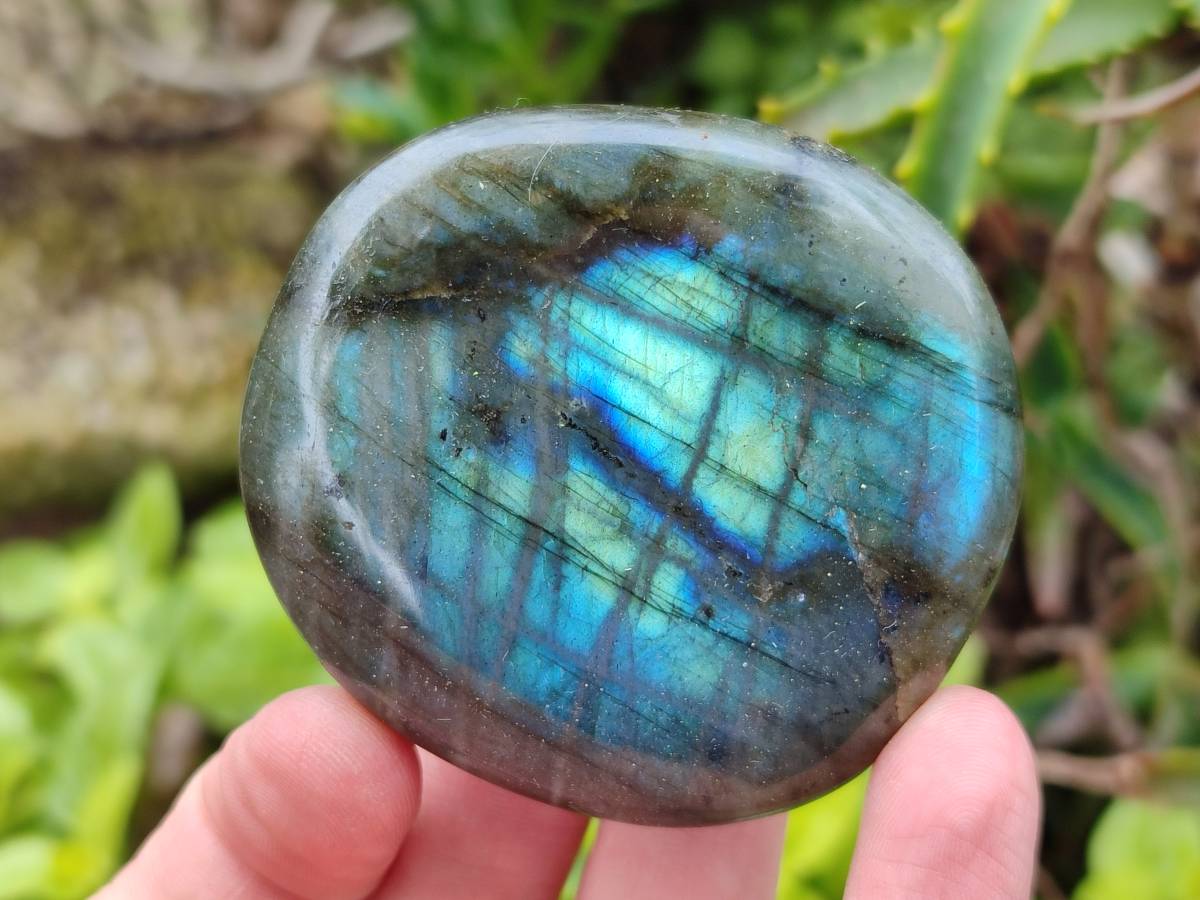 Polished Labradorite Galets x 12 From Tulear, Madagascar - Toprock Gemstones and Minerals 