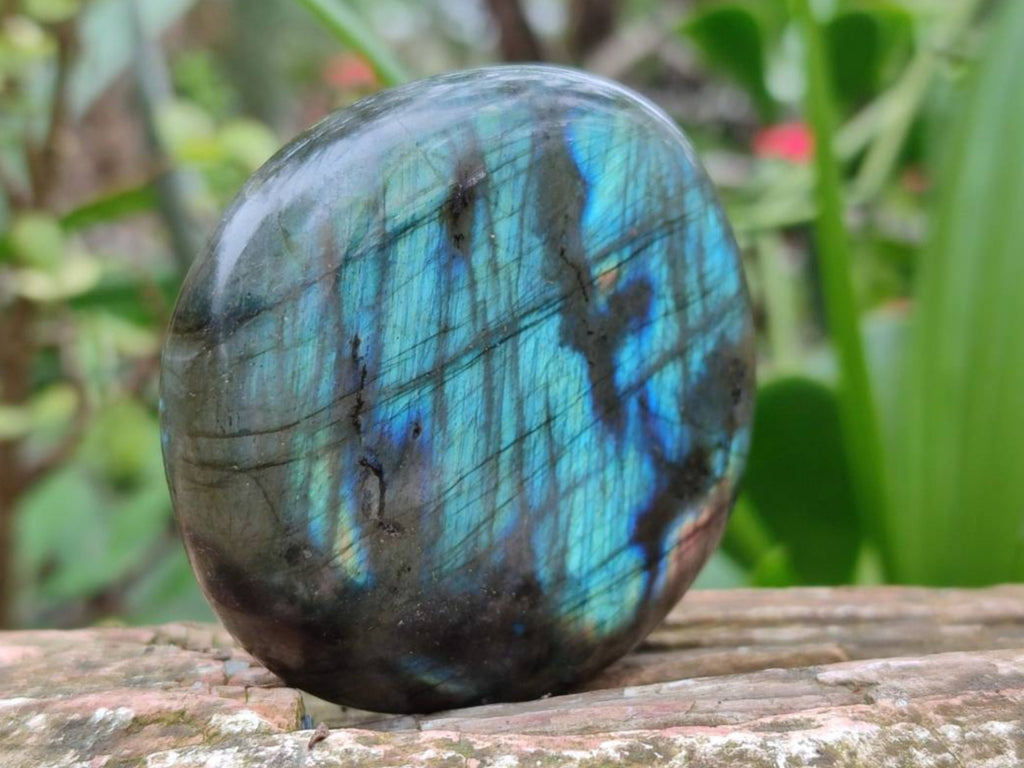 Polished Labradorite Galets x 12 From Tulear, Madagascar - Toprock Gemstones and Minerals 