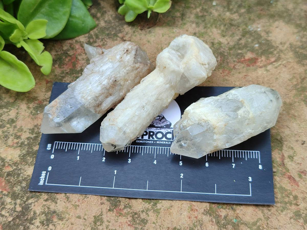Natural Cascading Candle Quartz Crystals x 53 From Antsirabe, Madagascar - Toprock Gemstones and Minerals 