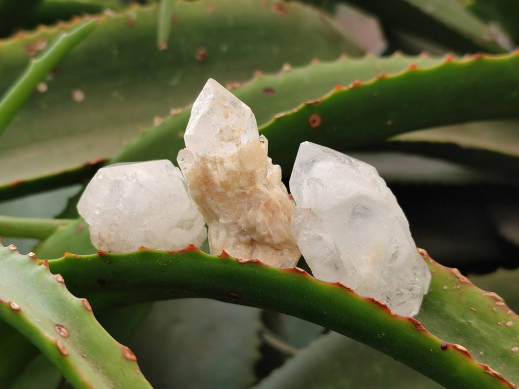 Natural Cascading Candle Quartz Crystals x 53 From Antsirabe, Madagascar - Toprock Gemstones and Minerals 