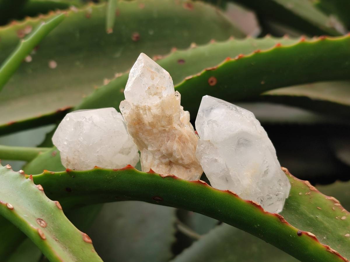 Natural Cascading Candle Quartz Crystals x 53 From Antsirabe, Madagascar - Toprock Gemstones and Minerals 
