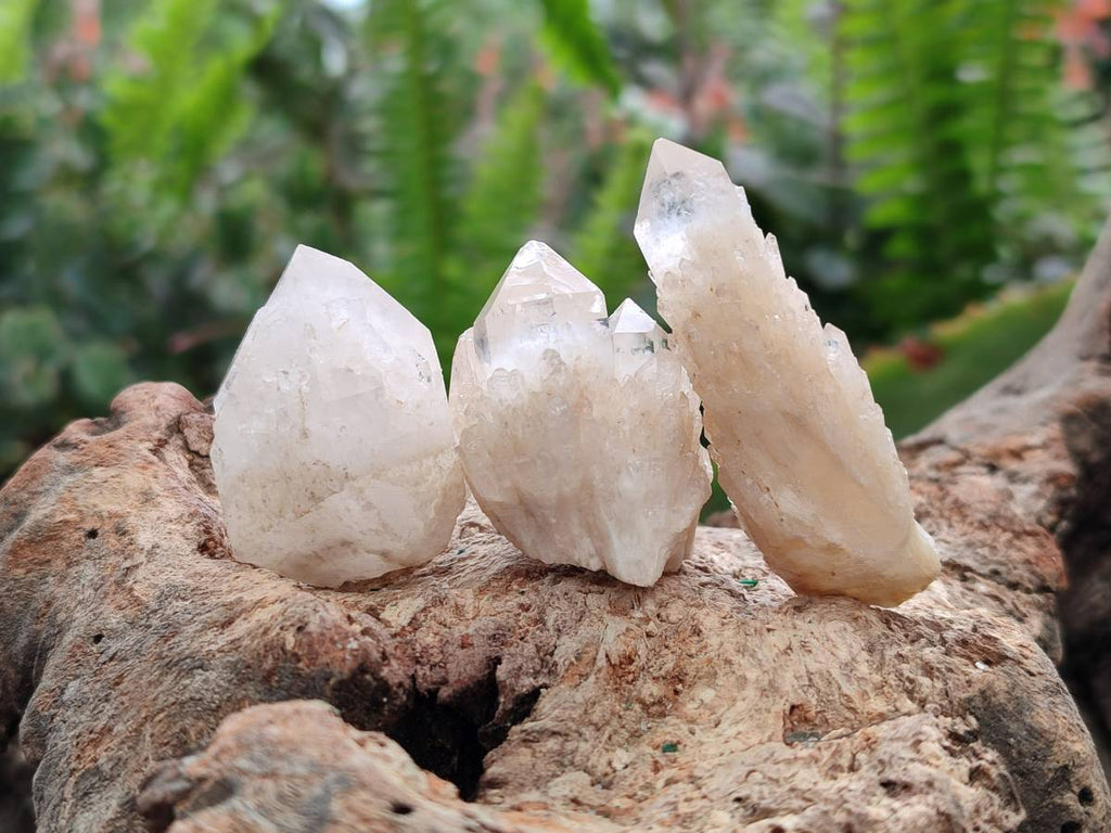 Natural Cascading Candle Quartz Crystals x 53 From Antsirabe, Madagascar - Toprock Gemstones and Minerals 