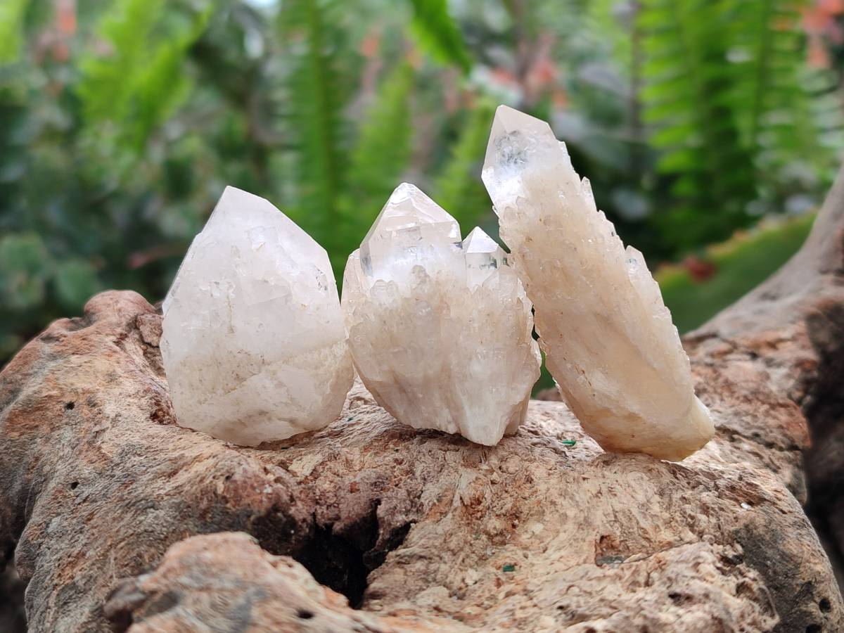 Natural Cascading Candle Quartz Crystals x 53 From Antsirabe, Madagascar - Toprock Gemstones and Minerals 