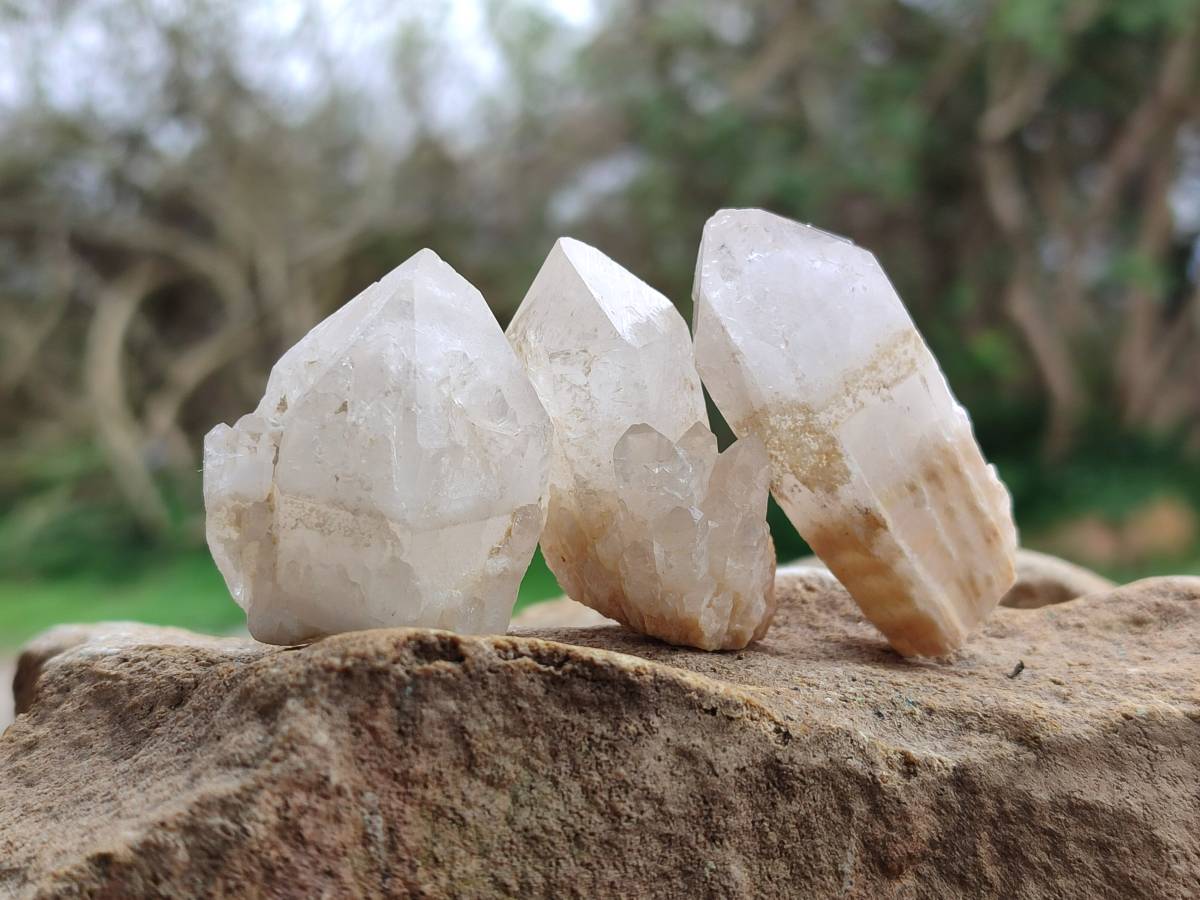 Natural Cascading Candle Quartz Crystals x 53 From Antsirabe, Madagascar - Toprock Gemstones and Minerals 