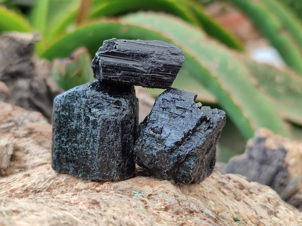 Natural Black Tourmaline Crystals x 2.8 Kg From Zimbabwe