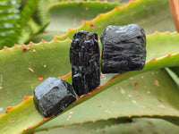 Natural Black Tourmaline Crystals x 2.8 Kg From Zimbabwe