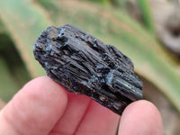 Natural Black Tourmaline Crystals x 2.8 Kg From Zimbabwe