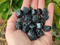Natural Black Tourmaline Crystals x 2.8 Kg From Zimbabwe