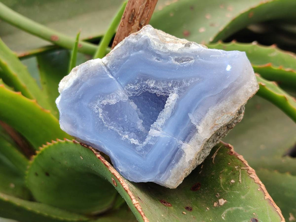 Polished On One Side Blue Lace Agate Geode Specimens x 6 From Nsanje, Malawi - Toprock Gemstones and Minerals 