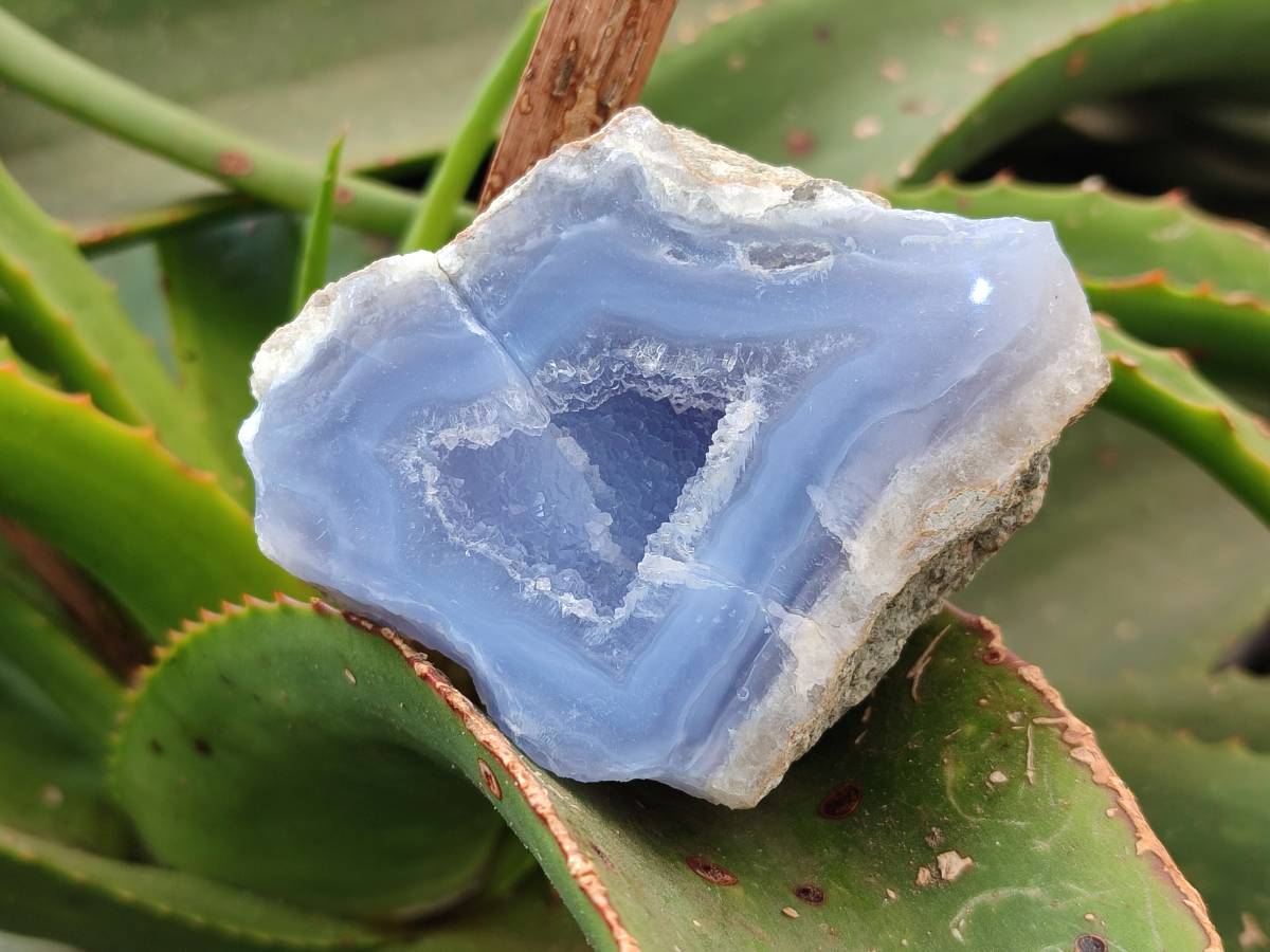 Polished On One Side Blue Lace Agate Geode Specimens x 6 From Nsanje, Malawi - Toprock Gemstones and Minerals 