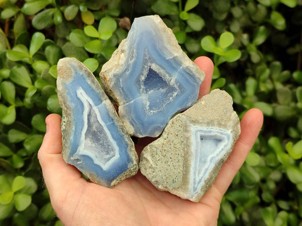 Polished On One Side Blue Lace Agate Geode Specimens x 6 From Nsanje, Malawi