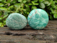 Polished Amazonite Palm Stones x 35 From Madagascar