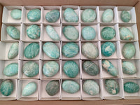 Polished Amazonite Palm Stones x 35 From Madagascar