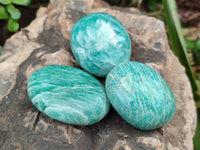 Polished Amazonite Palm Stones x 35 From Madagascar