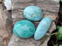 Polished Amazonite Palm Stones x 35 From Madagascar