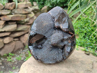 Polished Septerye Sauvage "Dragons Egg" Geode x 1 From Mahajanga, Madagascar