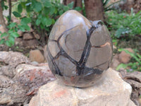 Polished Septerye Sauvage "Dragons Egg" Geode x 1 From Mahajanga, Madagascar