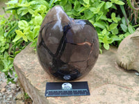 Polished Septerye Sauvage "Dragons Egg" Geode x 1 From Mahajanga, Madagascar