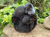 Polished Septerye Sauvage "Dragons Egg" Geode x 1 From Mahajanga, Madagascar