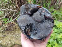 Polished Septerye Sauvage "Dragons Egg" Geode x 1 From Mahajanga, Madagascar