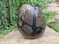 Polished Septerye Sauvage "Dragons Egg" Geode x 1 From Mahajanga, Madagascar