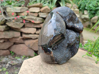 Polished Septerye Sauvage "Dragons Egg" Geode x 1 From Mahajanga, Madagascar