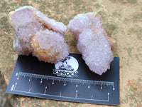 Natural Ametrine Spirit Quartz Clusters x 12 From Boekenhouthoek, South Africa