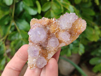 Natural Ametrine Spirit Quartz Clusters x 12 From Boekenhouthoek, South Africa