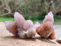 Natural Ametrine Spirit Quartz Clusters x 12 From Boekenhouthoek, South Africa
