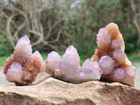 Natural Ametrine Spirit Quartz Clusters x 12 From Boekenhouthoek, South Africa