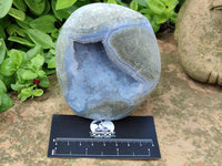 Polished Blue Lace Agate Standing Free Forms x 2 From Nsanje, Malawi